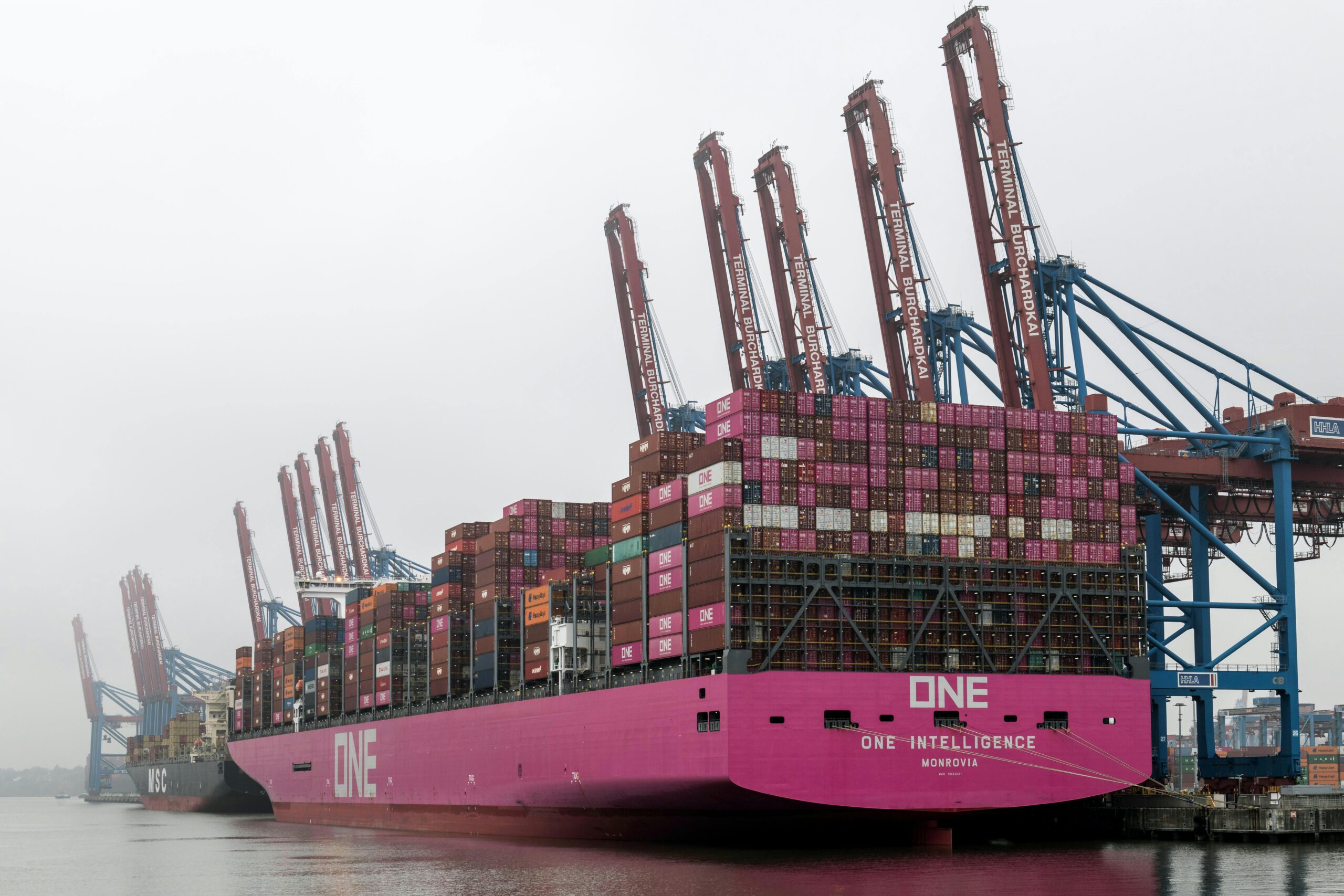 Massive cargo ship docked at Hamburg terminal with visible cranes and shipping containers.